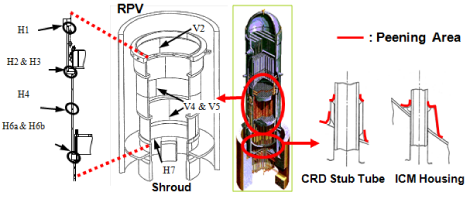 EJAM1-3-NT12-Fig.3_Scope_of_LP_for_BWR_reactor_internals