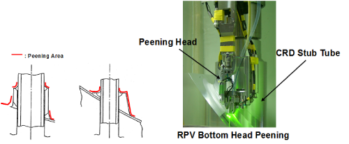 EJAM1-3-NT12-Fig.8_Experience-(2)RPV_Bottom_of_BWR_plant