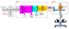 EJAM2-4NT29_Fig.4_Model_of_Drive_Force_Transmission_Mechanism_of_Motor-Operated_Valve