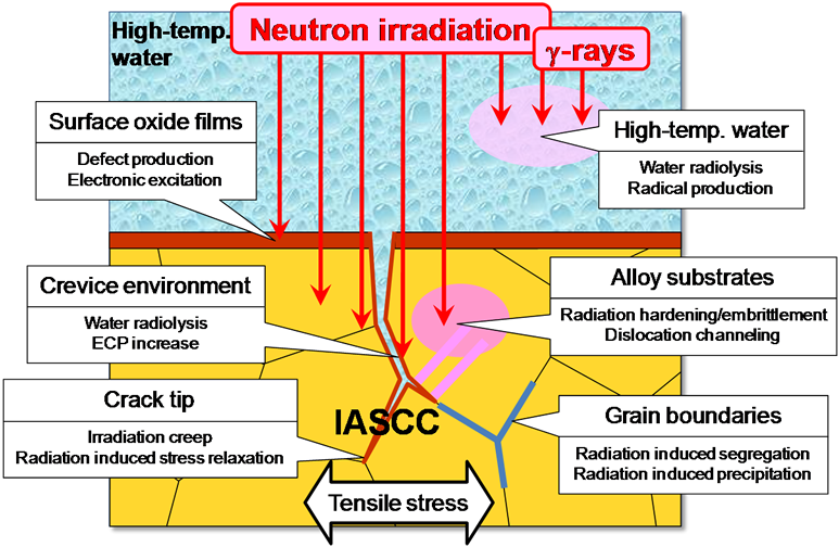 EJAM2-4NT31_Fig.1_Irradiation_effects_related_to_IASCC_in_reactor_core