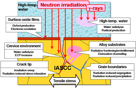 EJAM2-4NT31_Fig.1s_Irradiation_effects_related_to_IASCC_in_reactor_core