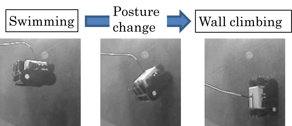 EJAM7-3NT73_Fig.4 Photos of posture change in water